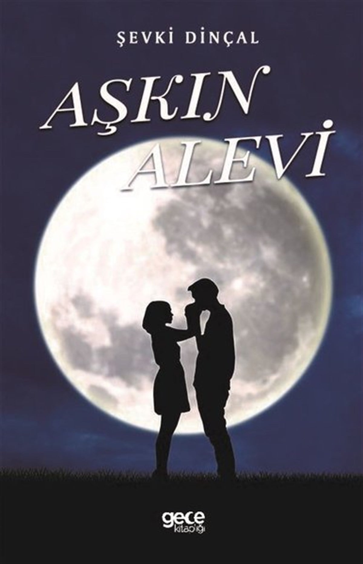 Şevki DinçalTürkiye RomanAşkın Alevi
