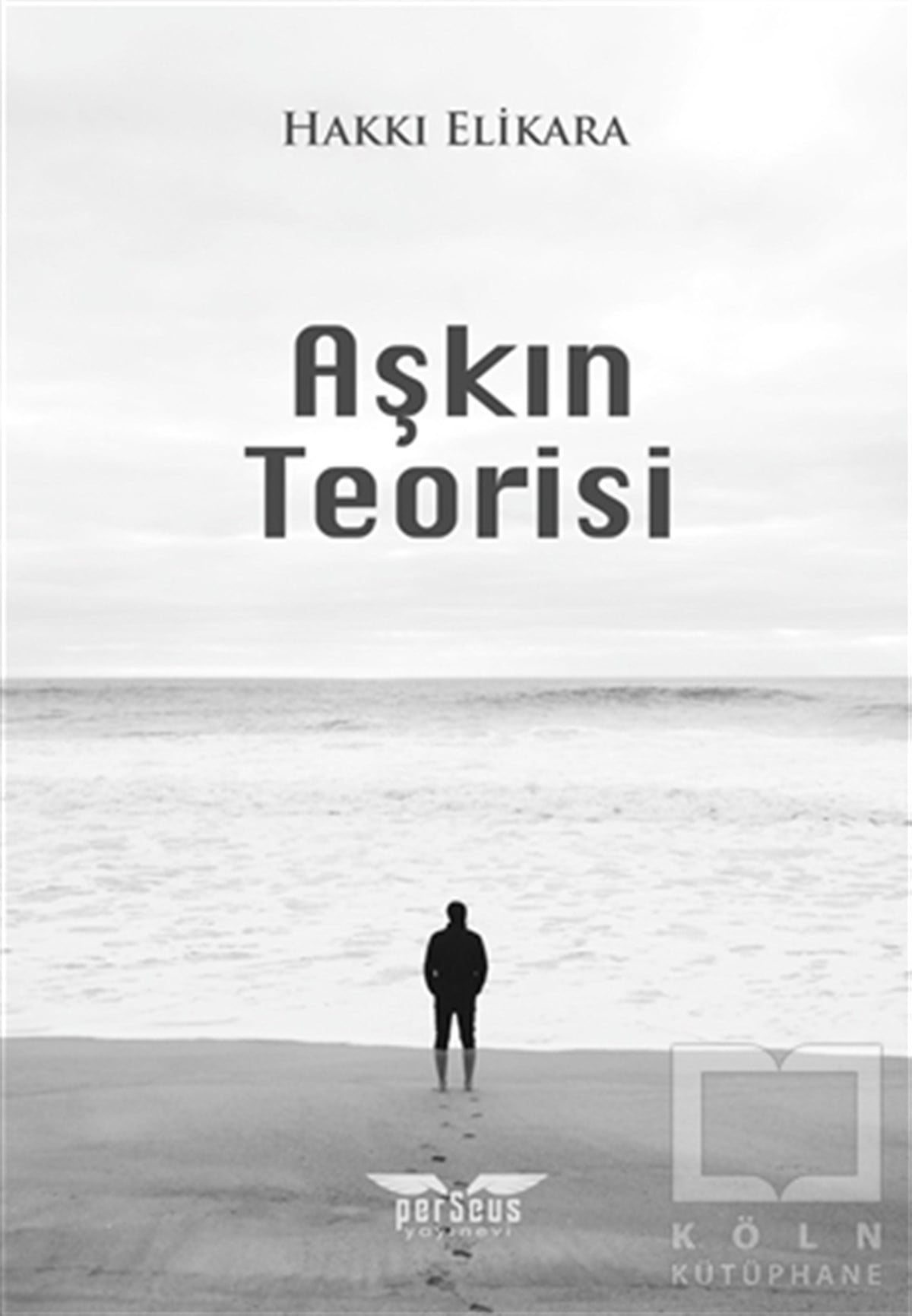 Hakkı ElikaraTürkische RomaneAşkın Teorisi