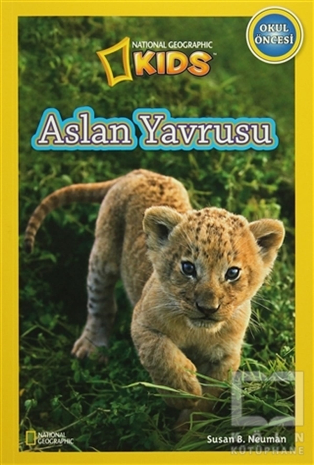Aslan Yavrusu