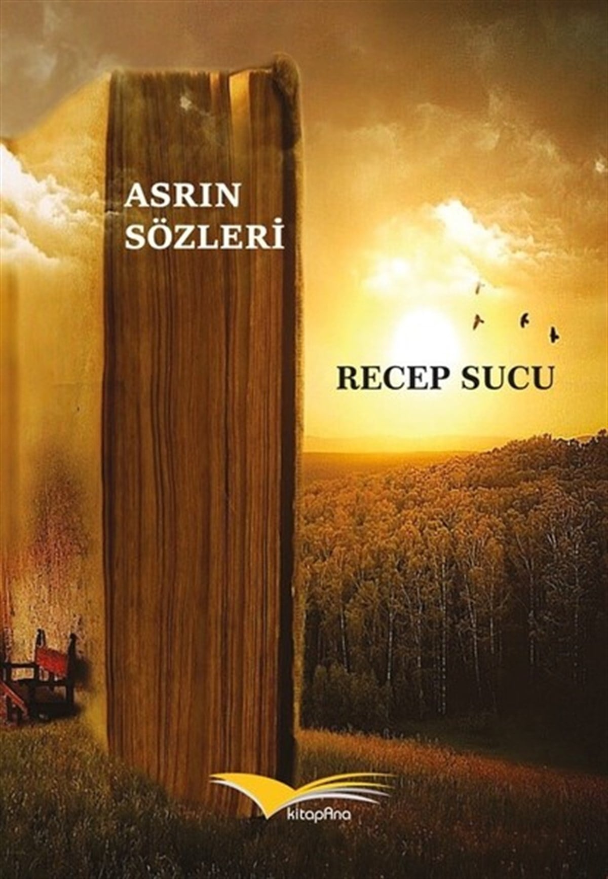 Recep SucuEssay BücherAsrın Sözleri