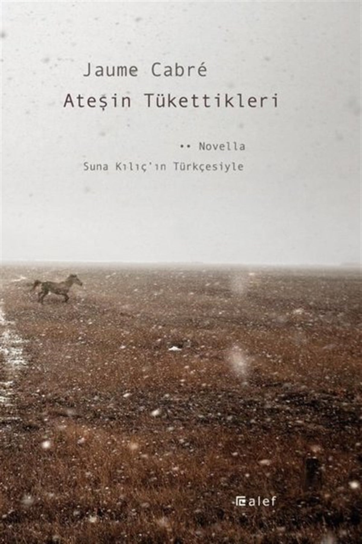 Jaume CabreDünya RomanAteşin Tükettikleri