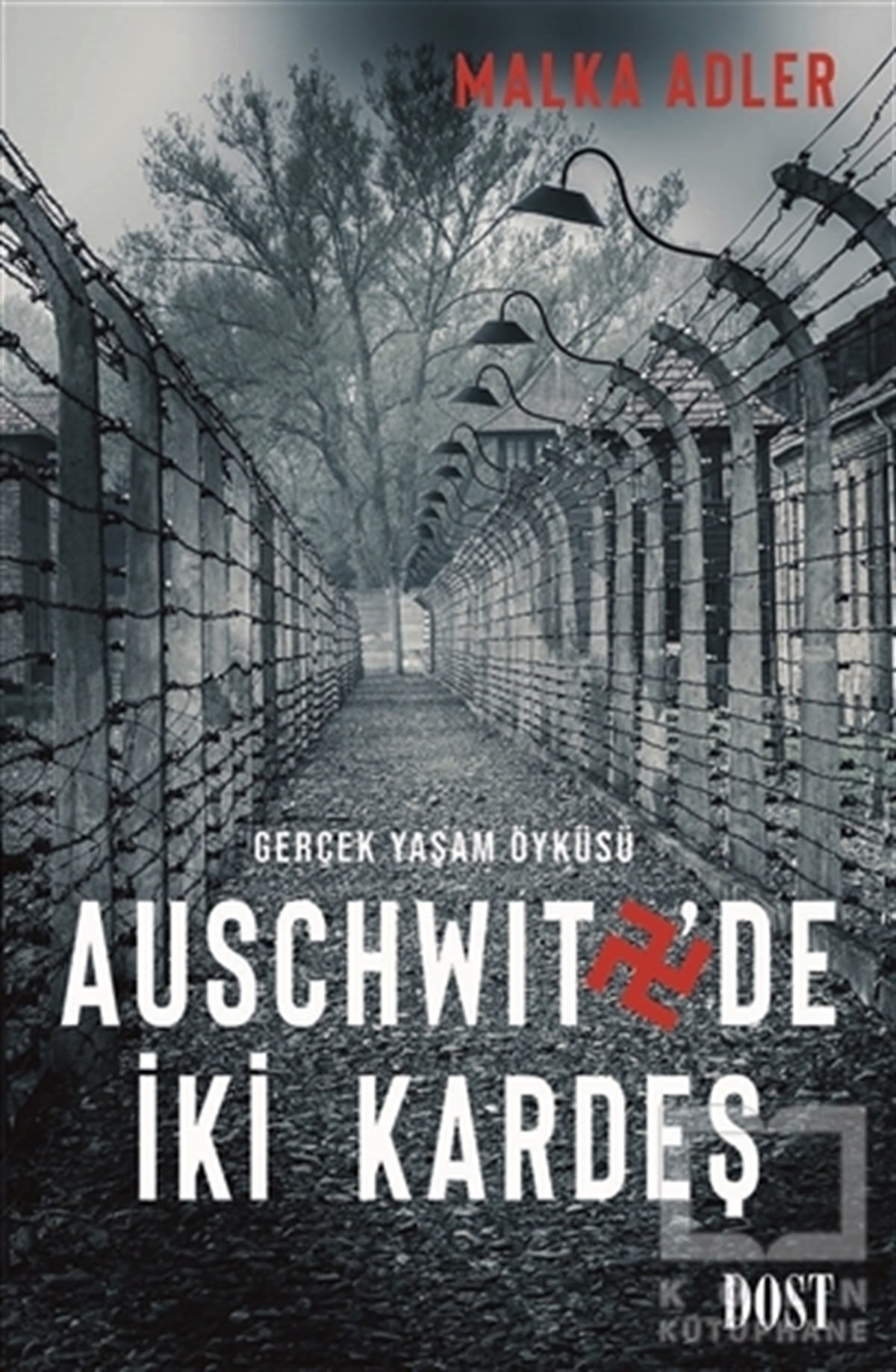 Malka AdlerHikaye (Öykü) KitaplarıAuschwitz'de İki Kardeş