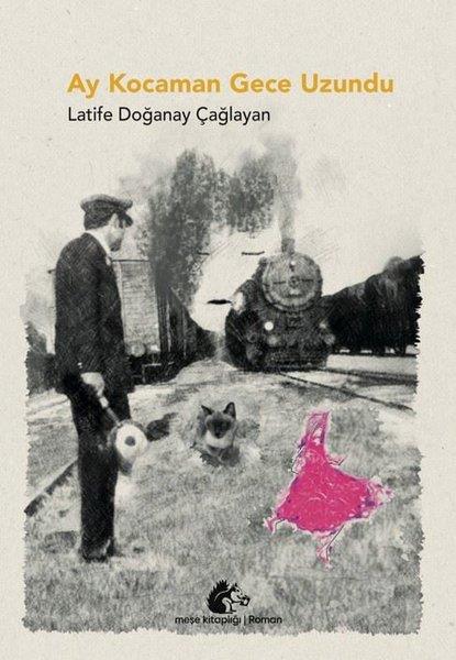 Latife Doğanay ÇağlayanTürk RomaniAy Kocaman Gece Uzundu