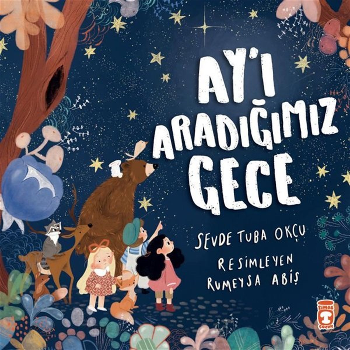 Sevde Tuba OkçuOkul Öncesi Masal KitaplarıAy'ı Aradığımız Gece