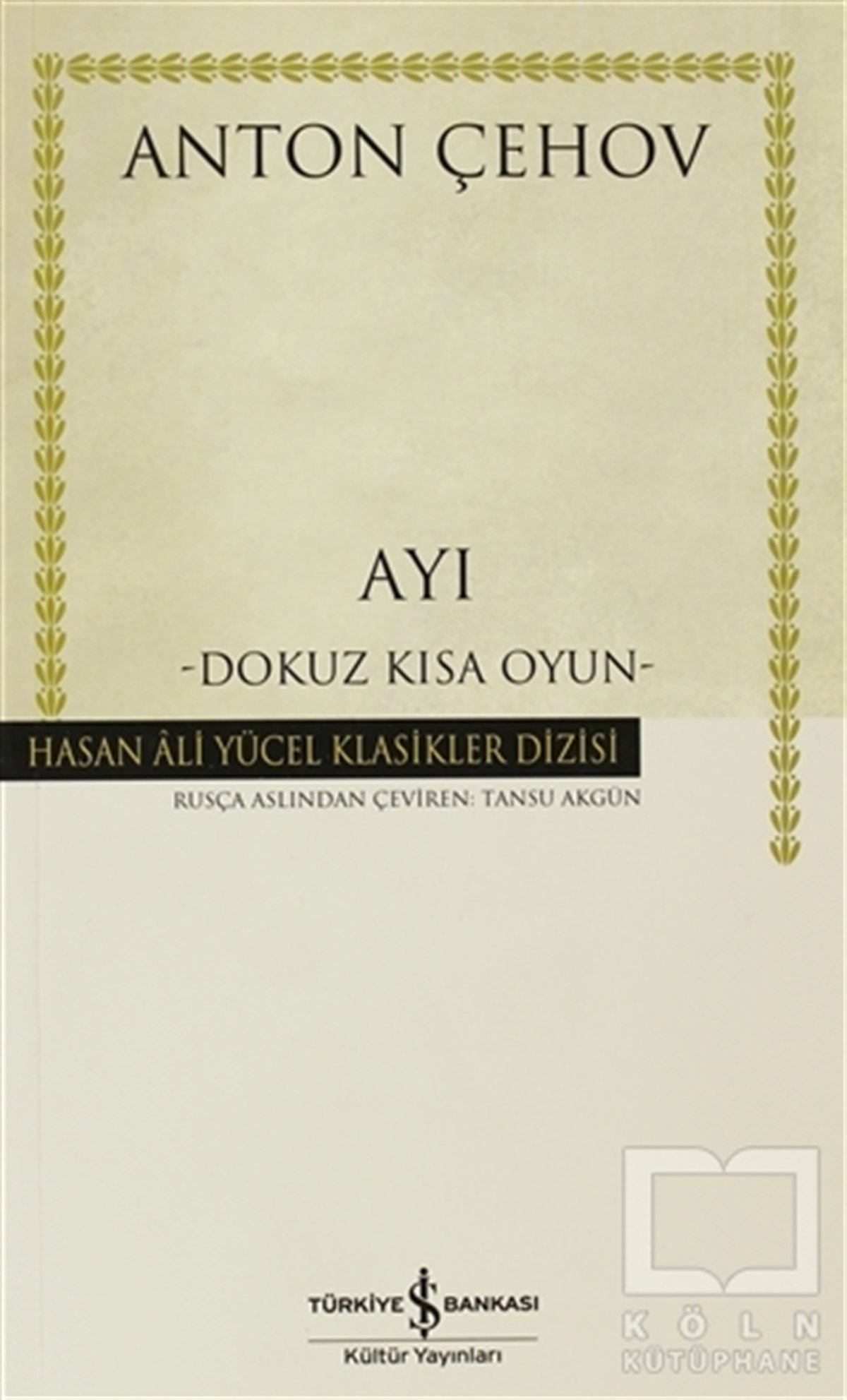 Ayı
