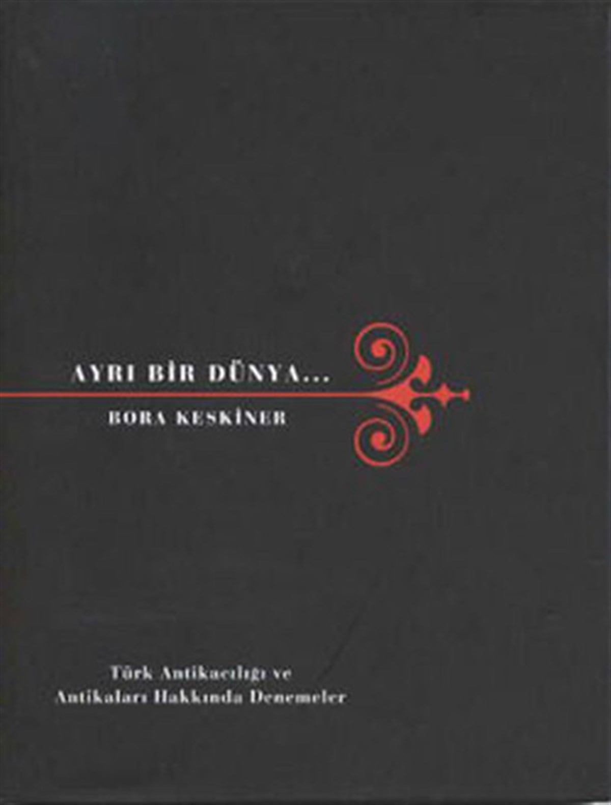 Bora KeskinerBastelbücherAyrı Bir Dünya...