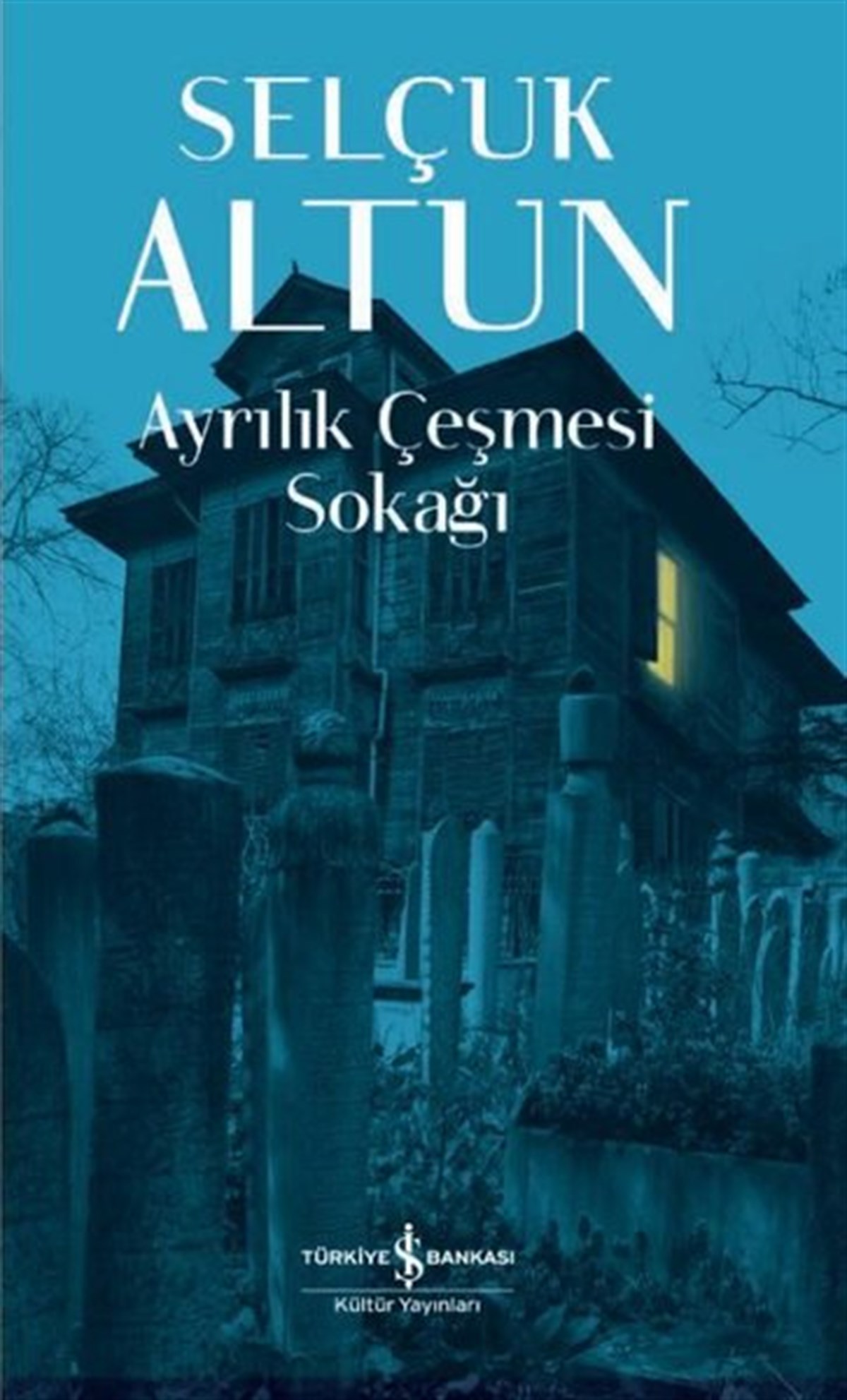 Selçuk AltunTürkiye RomanAyrılık Çeşmesi Sokağı