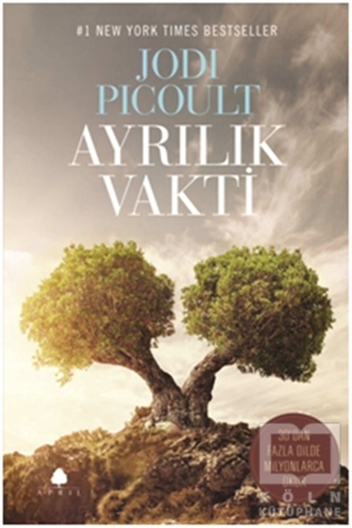 Jodi PicoultRomanAyrılık Vakti