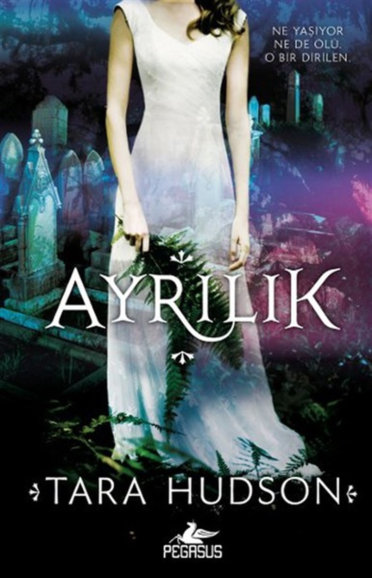 Sibel YıldızDünya RomanAyrılık
