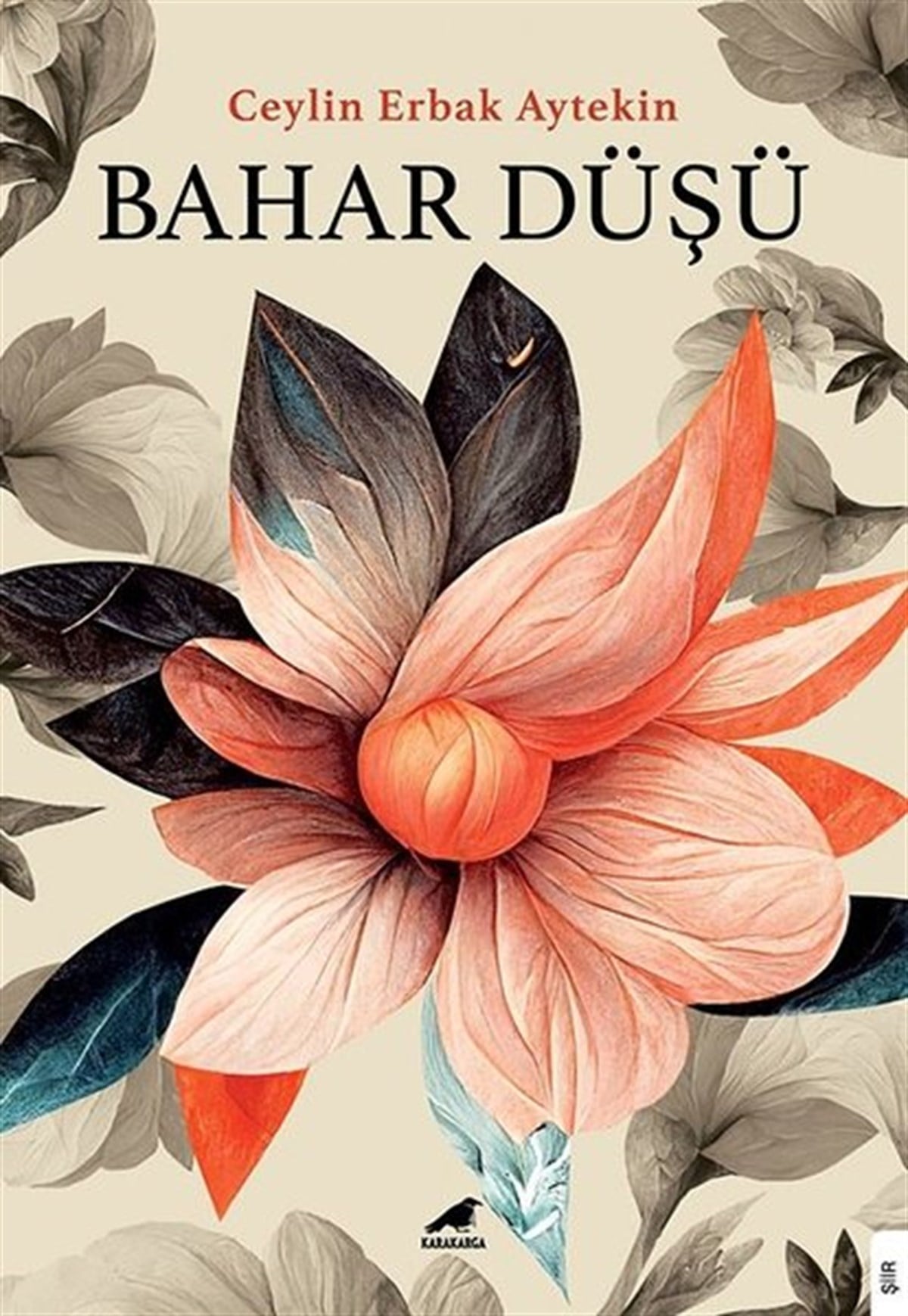 Ceylin Erbak AytekinTürk ŞiiriBahar Düşü