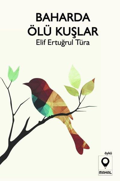 Elif Ertuğrul TüraTürk RomaniBaharda Ölü Kuşlar