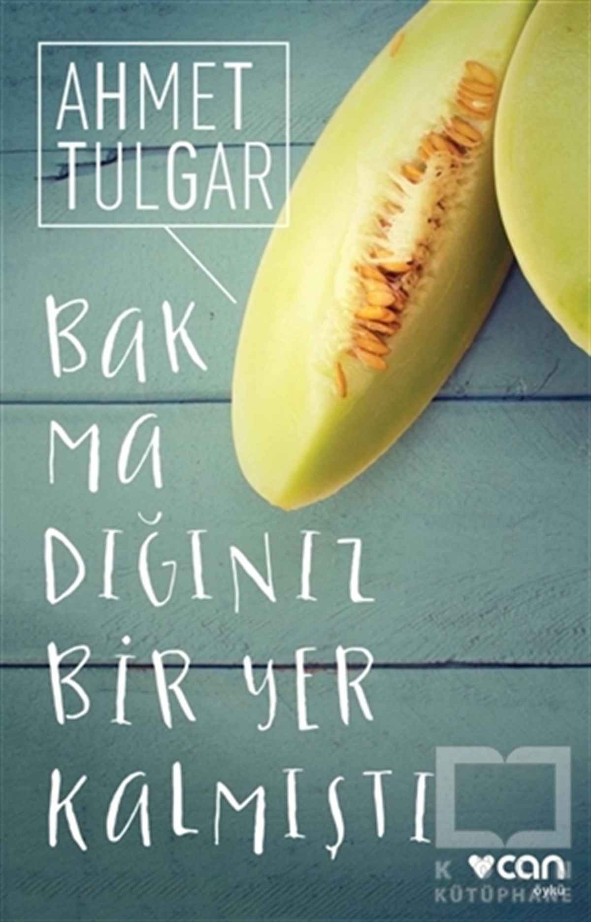 Ahmet TulgarÖyküBakmadığınız Bir Yer Kalmıştı