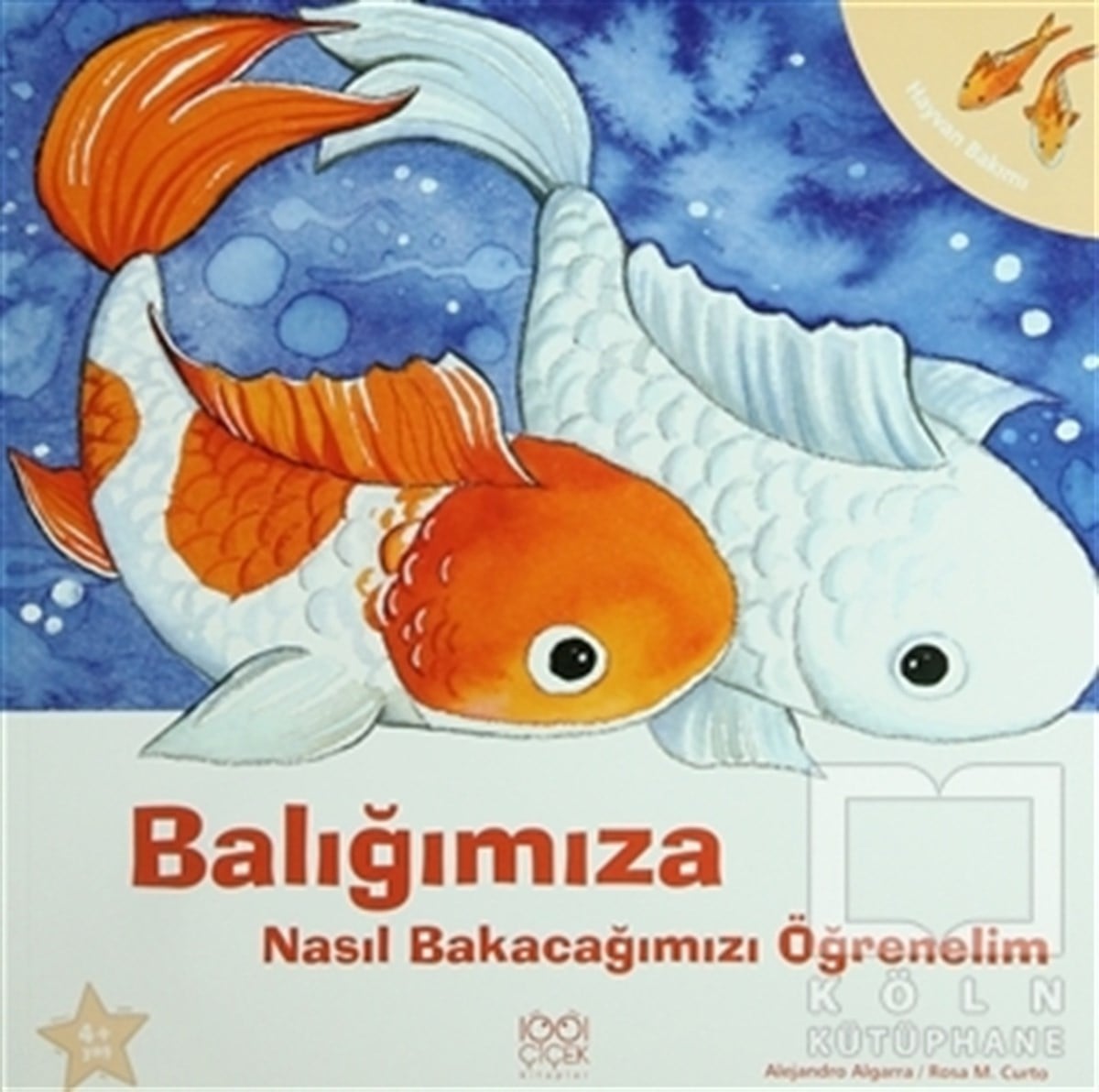 Alejandro AlgarraHikayelerBalığımıza Nasıl Bakacağımızı Öğrenelim
