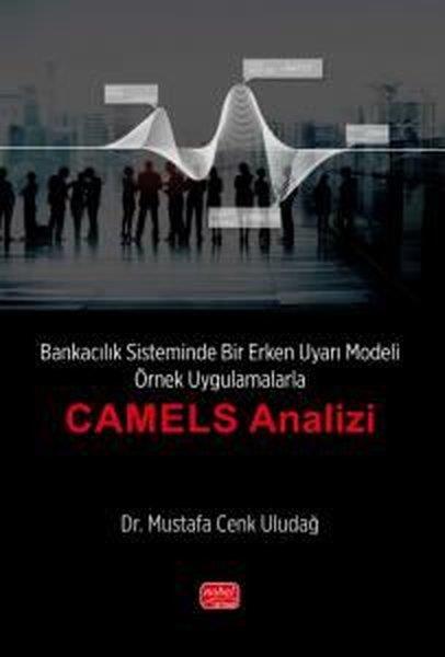 Mustafa Cenk UludağDigerBankacılık Sisteminde Bir Erken Uyarı Modeli - Örnek Uygulamalarla Camels Analizi