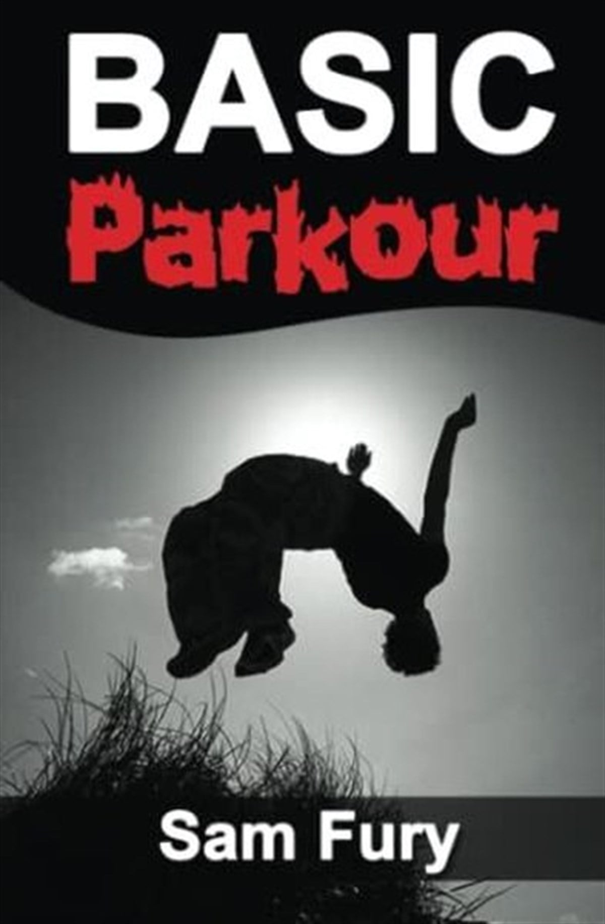 Sam FurySportsBasic Parkour
