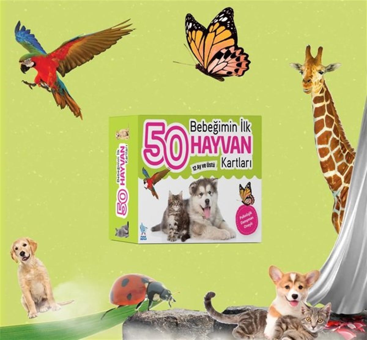 KolektifEgitim Etkinlik KitaplariBebeğimin İlk  50 Hayvan Kartları