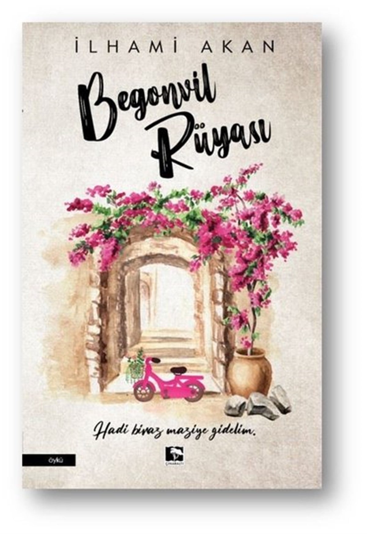 İlhami AkanTürkiye RomanBegonvil Rüyası