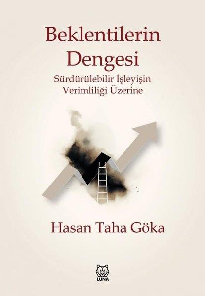 Hasan Taha GökaTürkiye RomanBeklentilerin Dengesi - Sürdürülebilir İşleyişin Verimliliği Üzerine