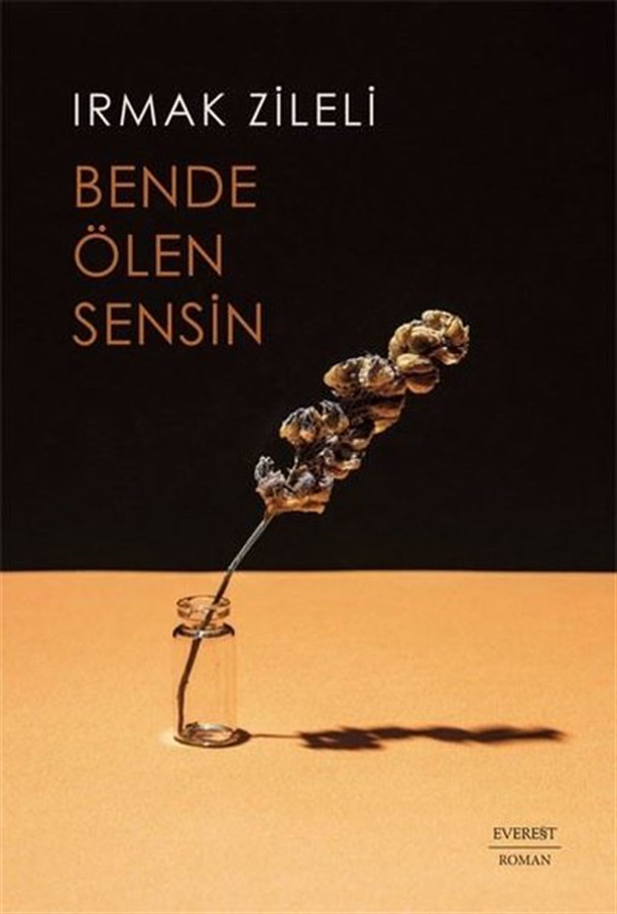 Irmak ZileliTürkiye RomanBende Ölen Sensin