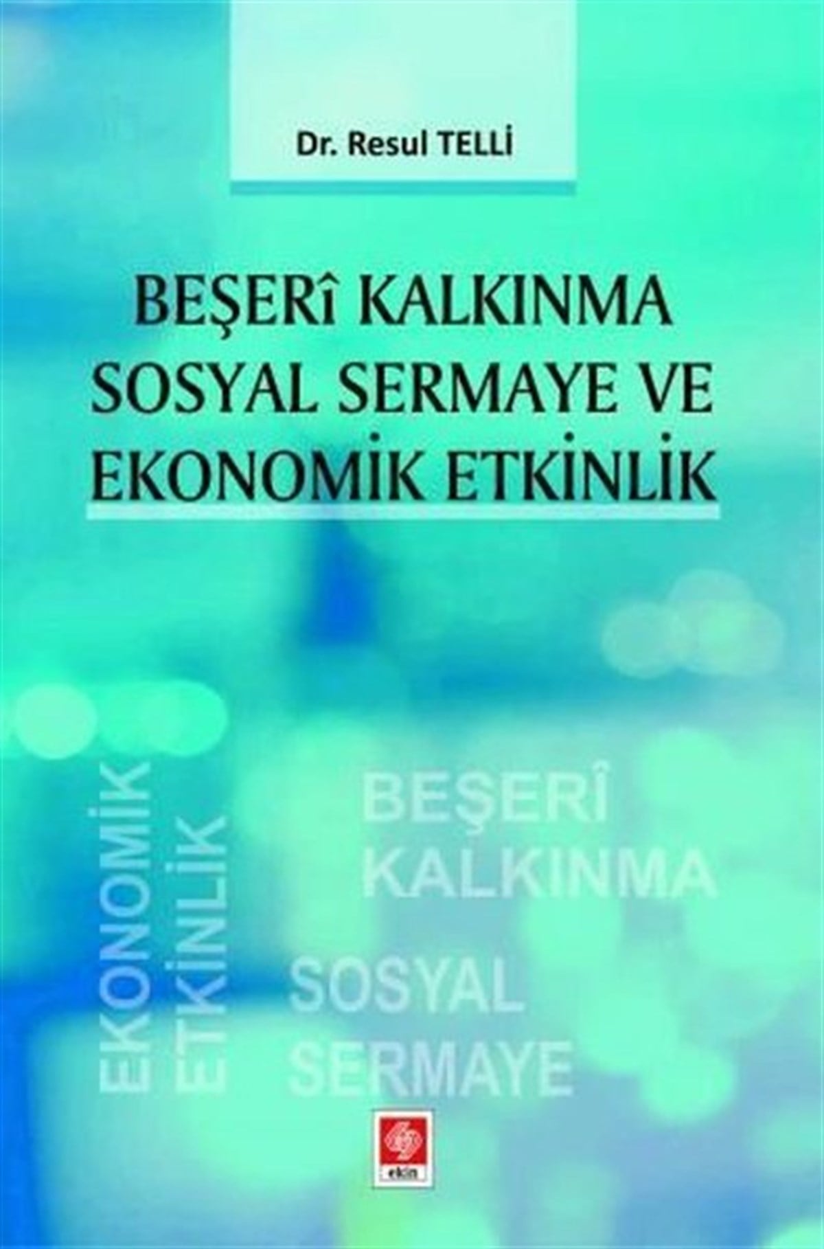 Resul TelliEğitimBeşeri Kalkınma Sosyal Sermaye ve Ekonomik Etkinlik