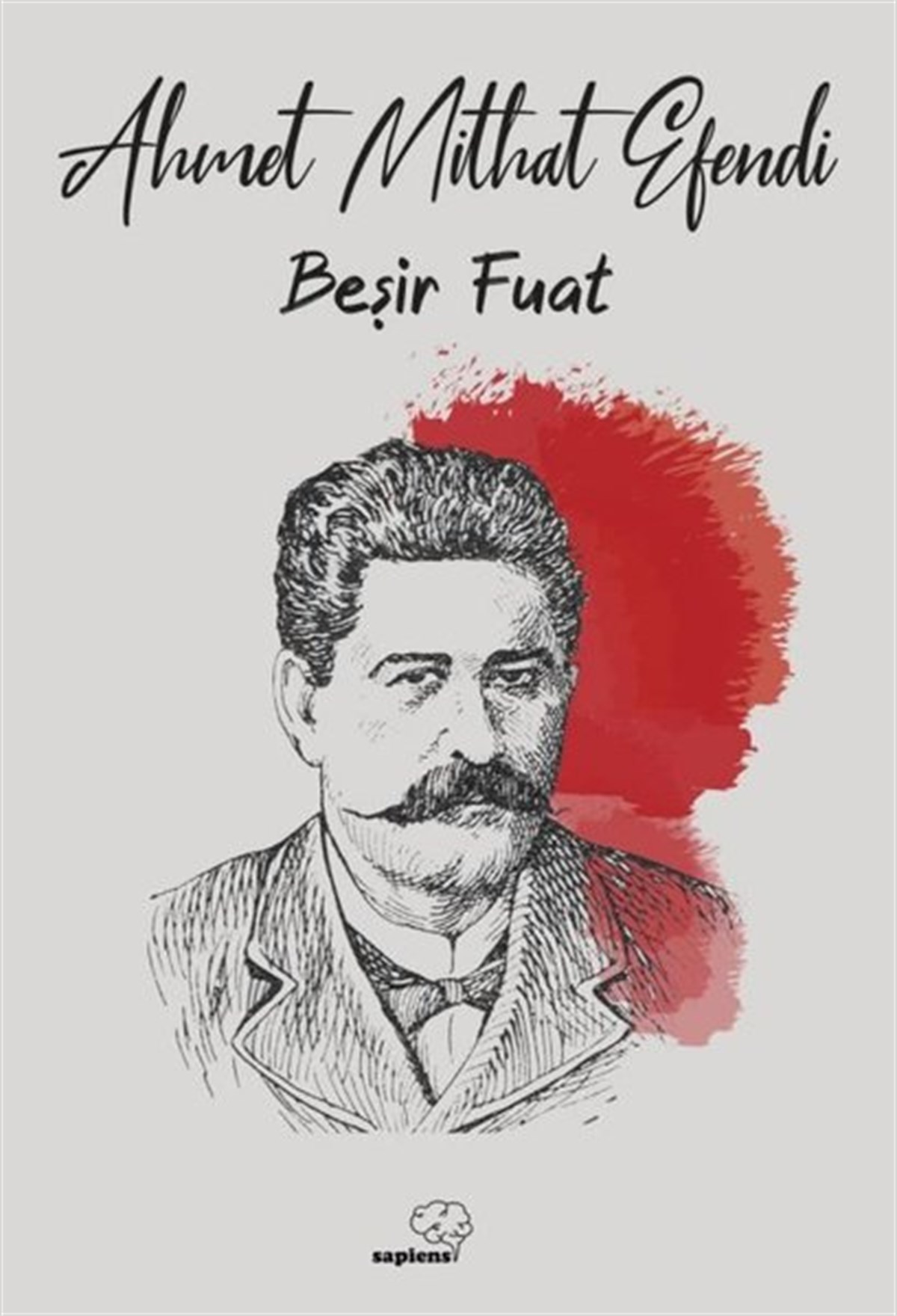 Ahmet Mithat EfendiTürkiye RomanBeşir Fuat