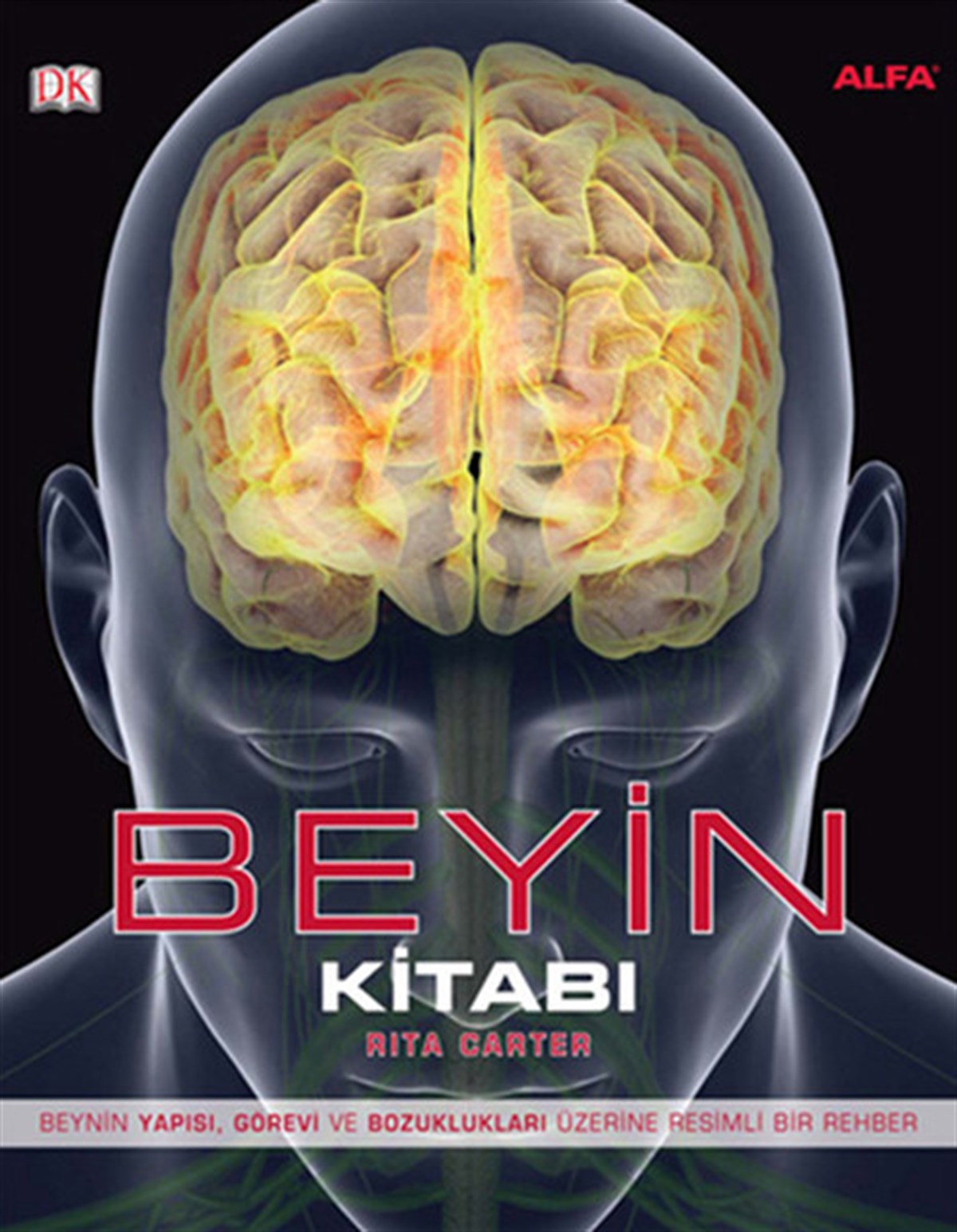 Güneş Kayacı SevinçBilim Tarihi KitaplarıBeyin