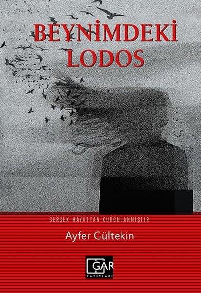 Ayfer GültekinAnlatıBeynimdeki Lodos