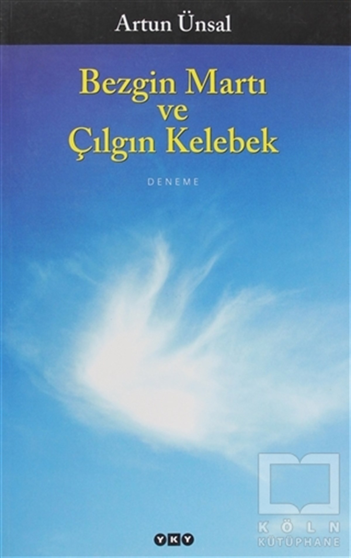 Bezgin Martı ve Çılgın Kelebek