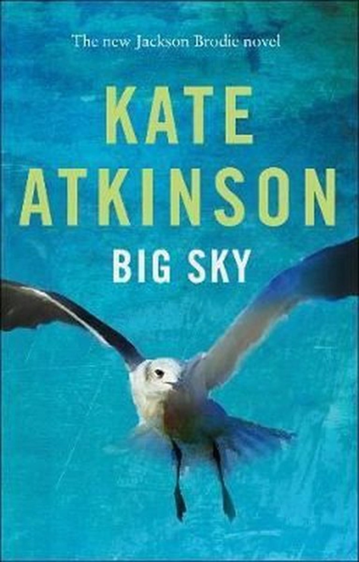 Kate AtkinsonMystery/Crime/ThrillerBig Sky (Jackson Brodie)
