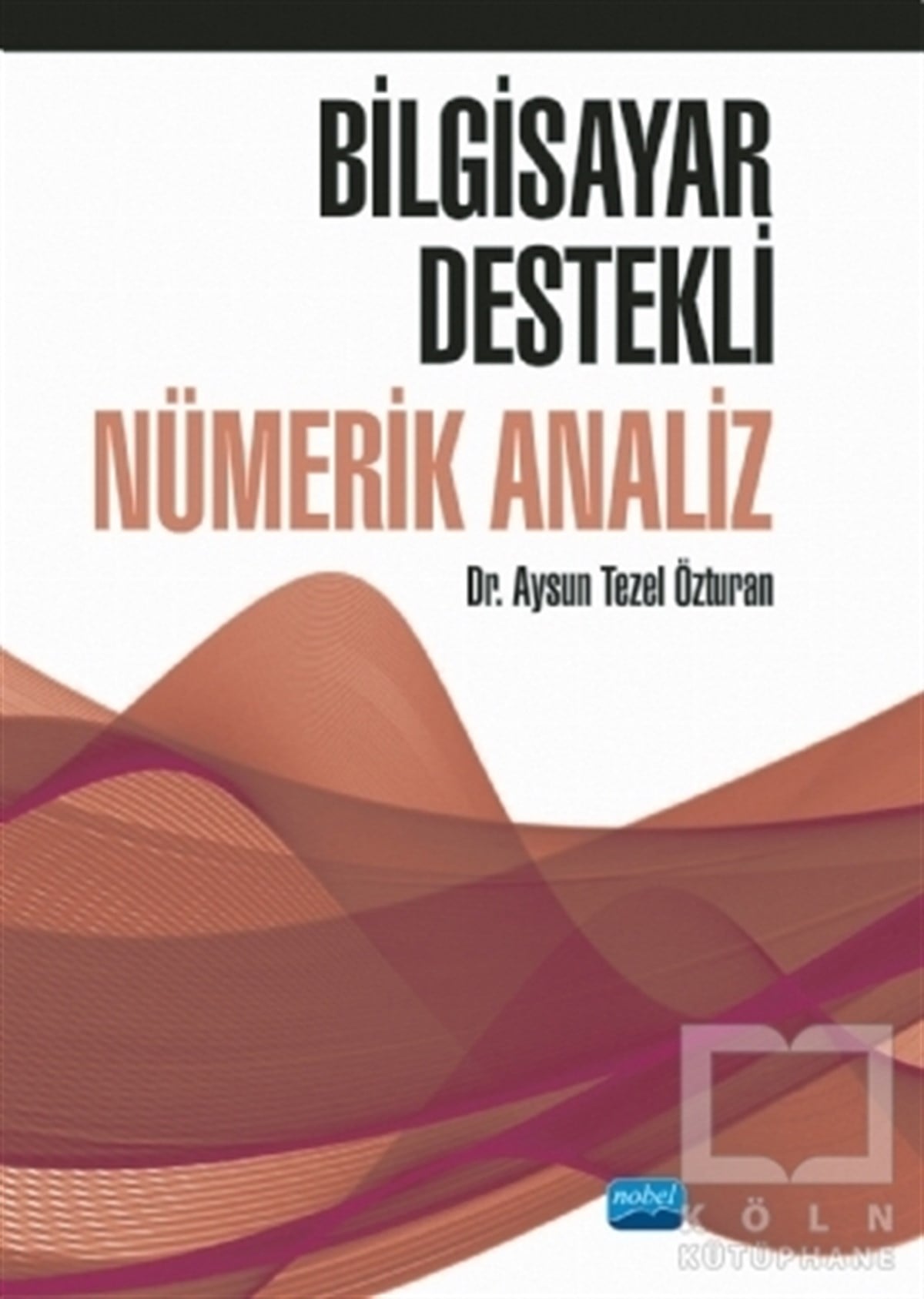 Aysun Tezel ÖzturanMatematik - GeometriBilgisayar Destekli Nümerik Analiz