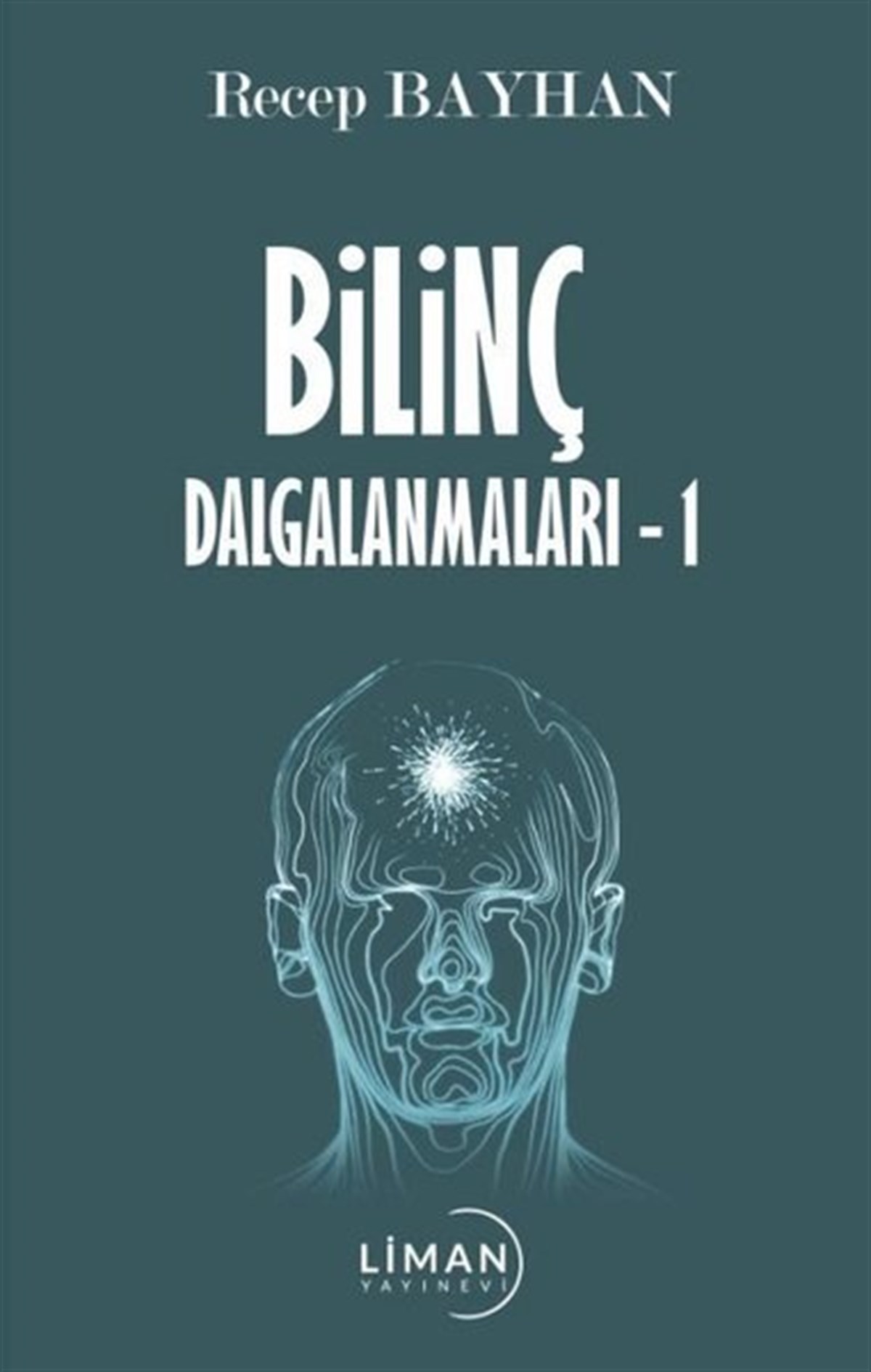 Recep BayhanTürkiye RomanBilinç Dalgalanmaları - 1
