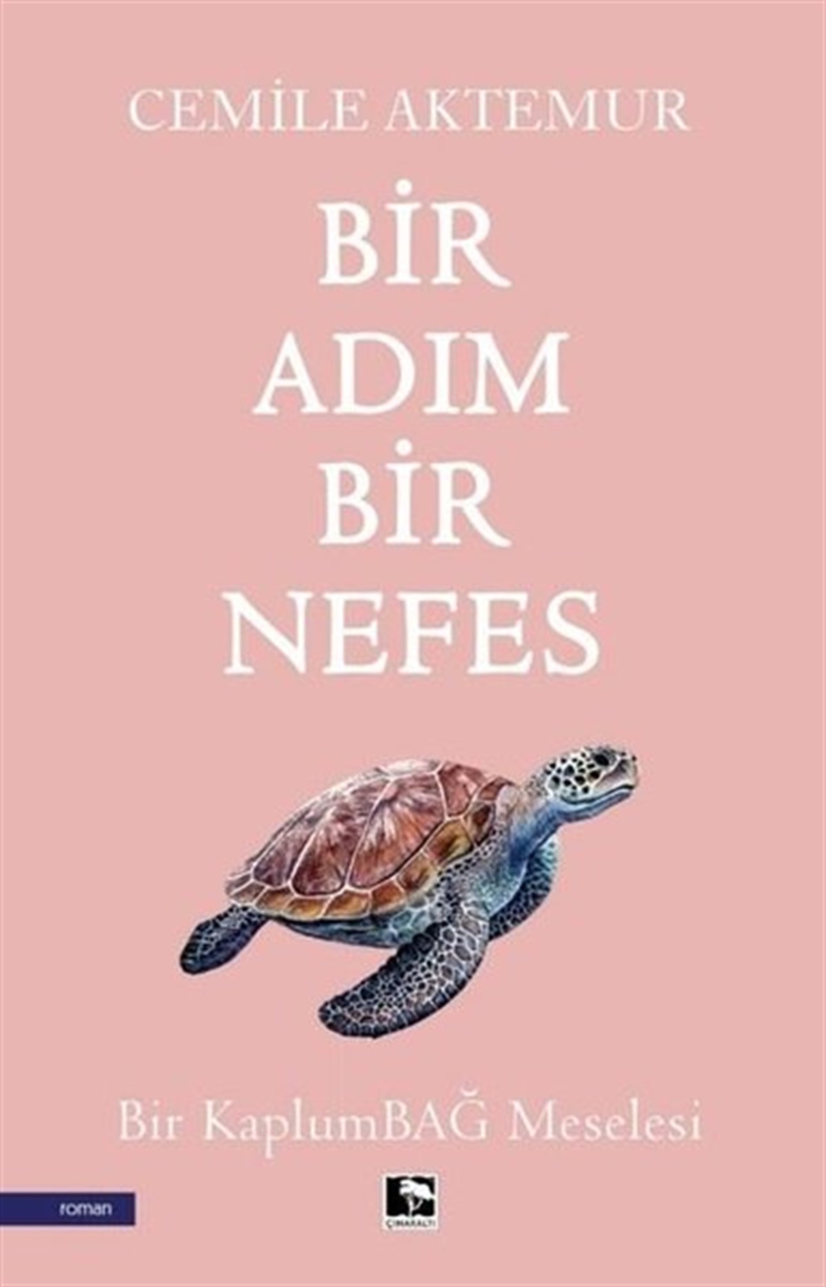Cemile AktemurTürkiye RomanBir Adım Bir Nefes - Bir Kaplumbağ Meselesi