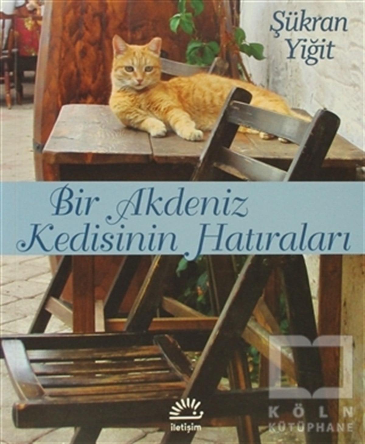 Şükran YiğitTürk EdebiyatıBir Akdeniz Kedisinin Hatıraları