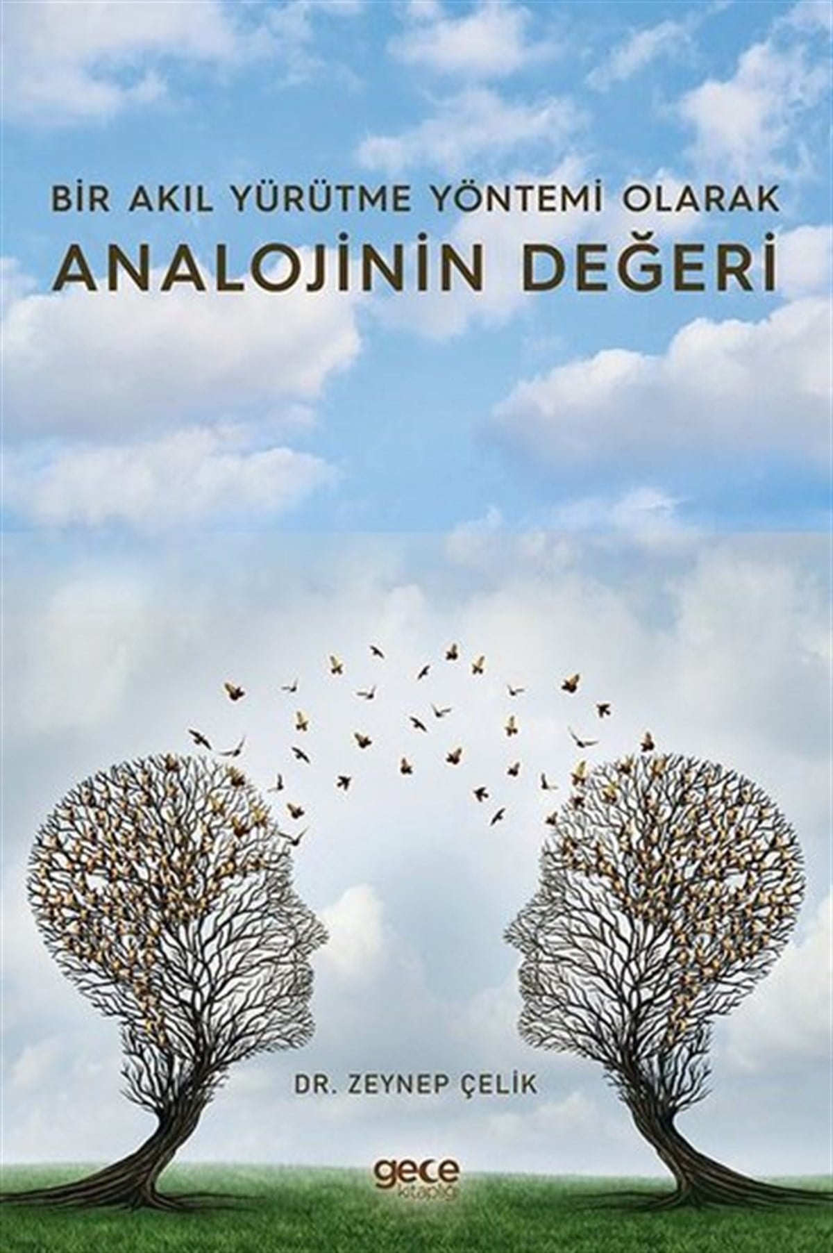 Zeynep ÇelikPopüler Bilim KitaplarıBir Akıl Yürütme Yöntemi Olarak Analojinin Değeri