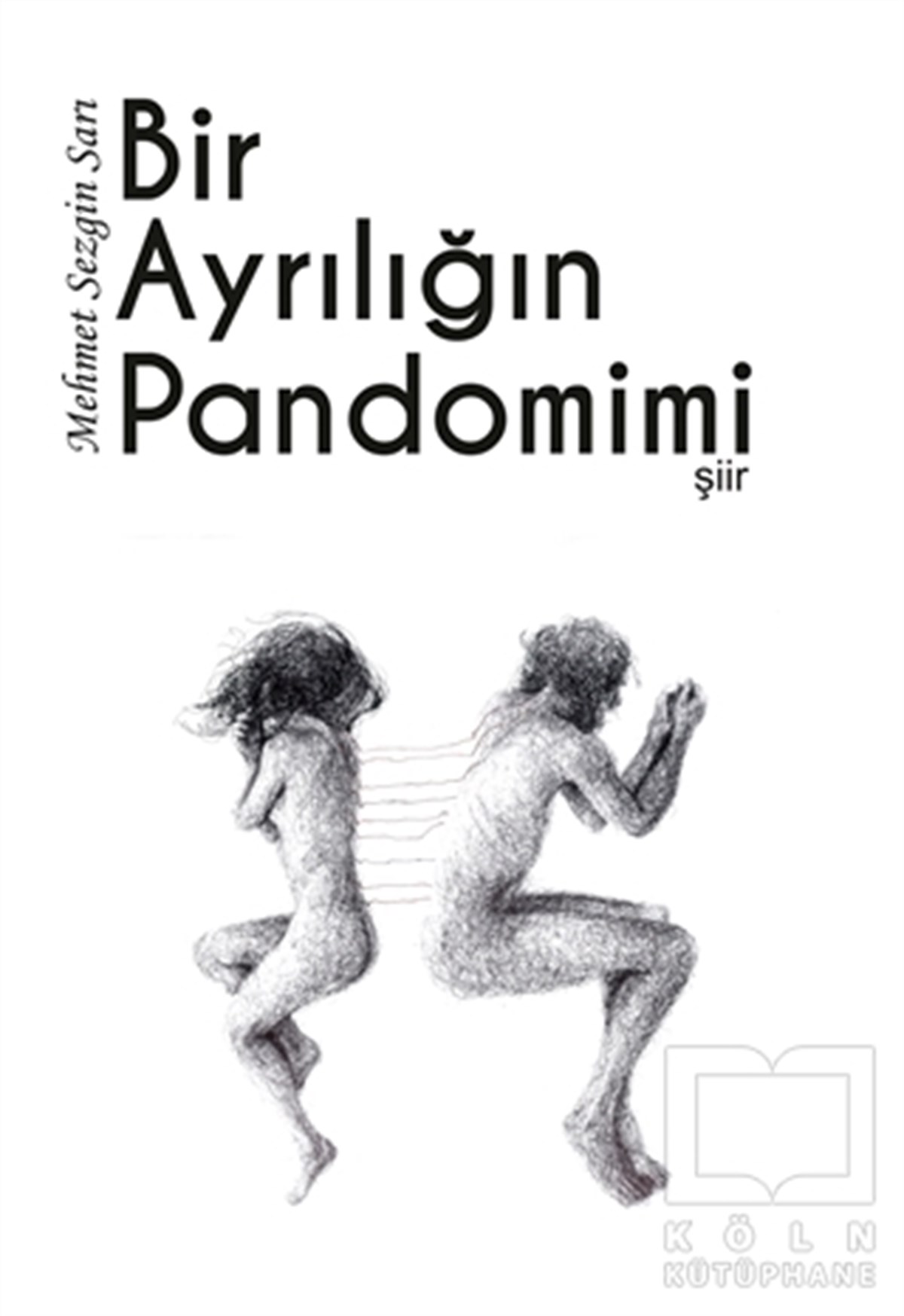Mehmet Sezgin SarıTürkçe Şiir KitaplarıBir Ayrılığın Pandomimi