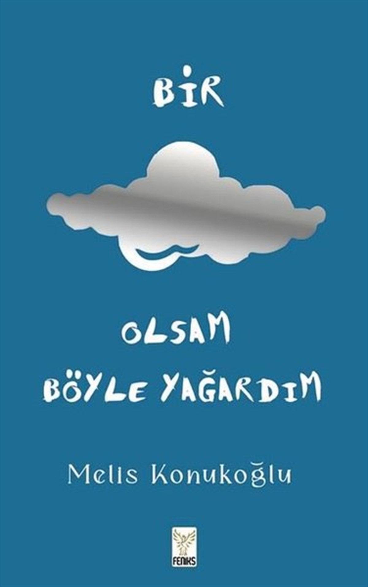Melis KonukoğluErzählbücherBir Bulut Olsam Böyle Yağardım