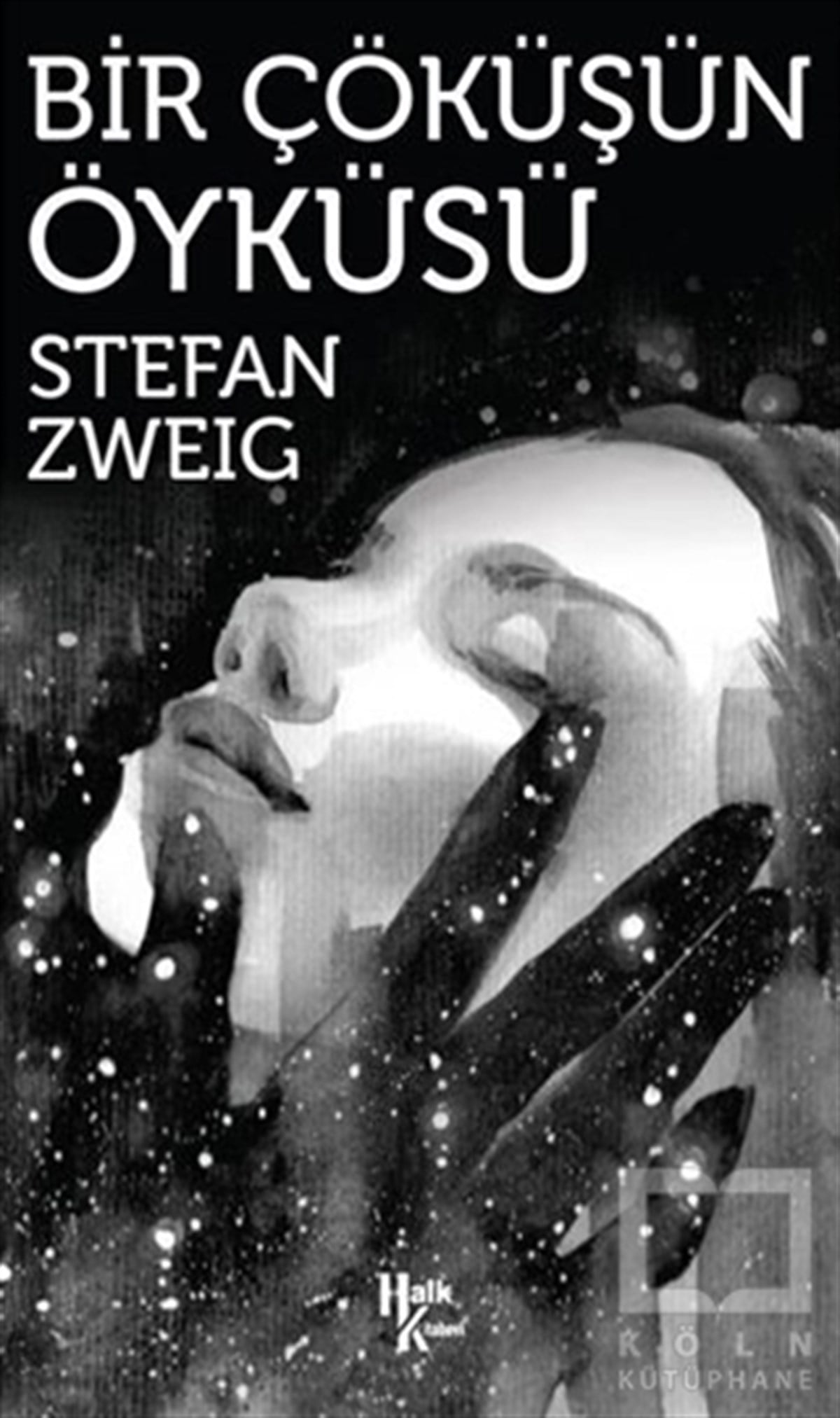 Stefan ZweigTürkçe RomanlarBir Çöküşün Öyküsü