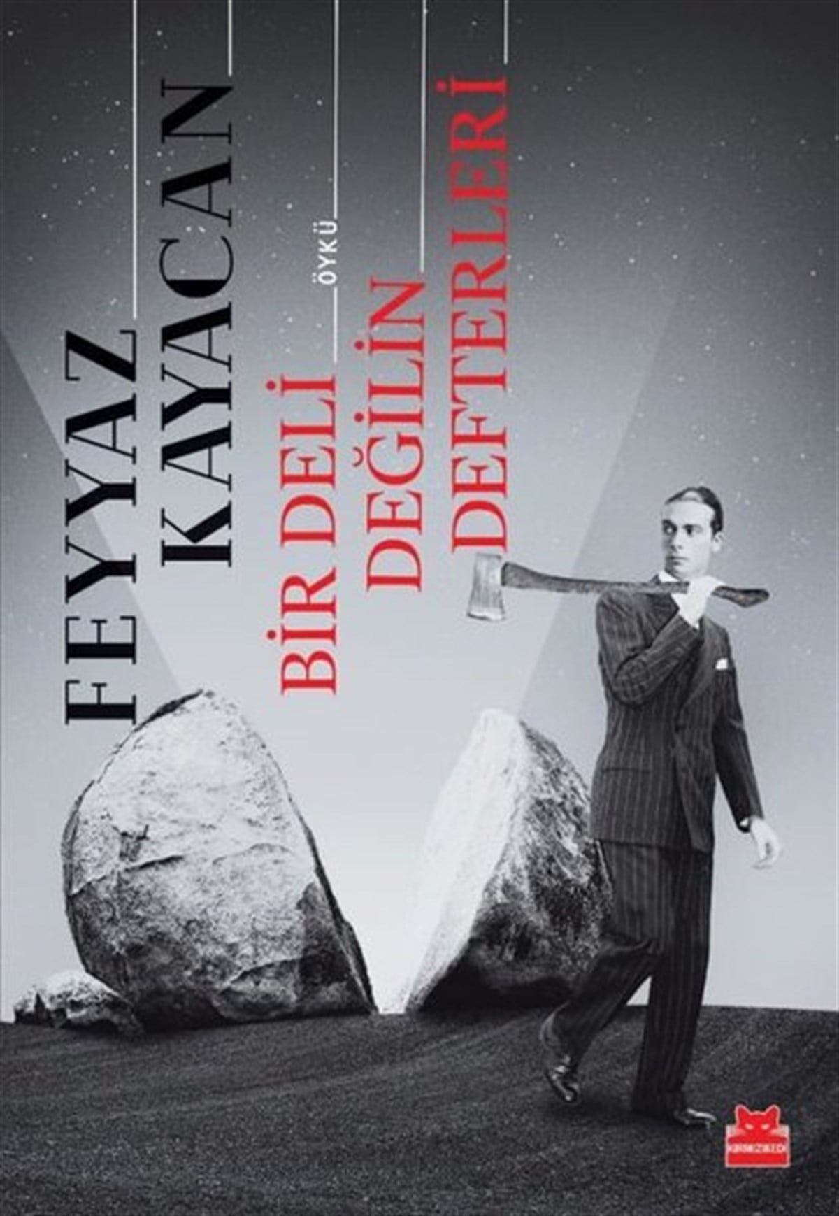 Feyyaz KayacanTürkiye RomanBir Deli Değilin Defterleri