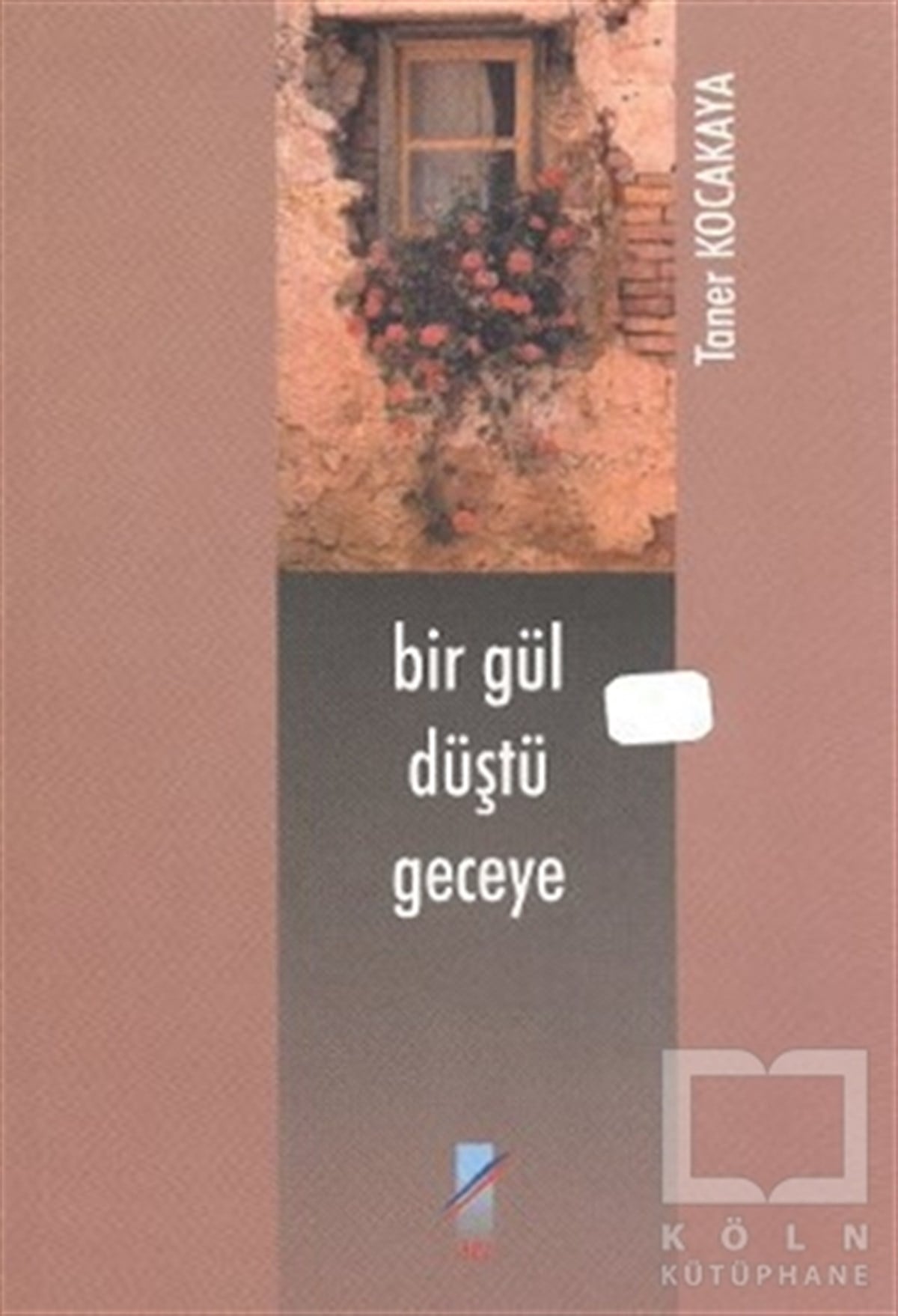Taner KocakayaŞiirBir Gül Düştü Geceye
