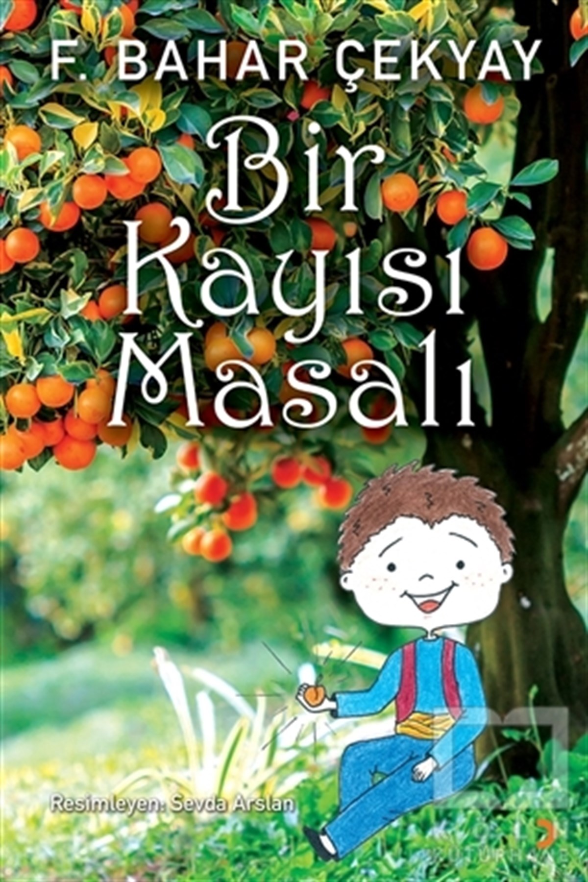 Bir Kayısı Masalı