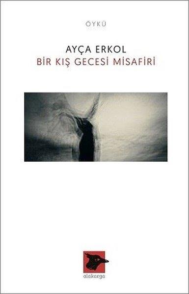 Ayça ErkolTürkiye RomanBir Kış Gecesi Misafiri