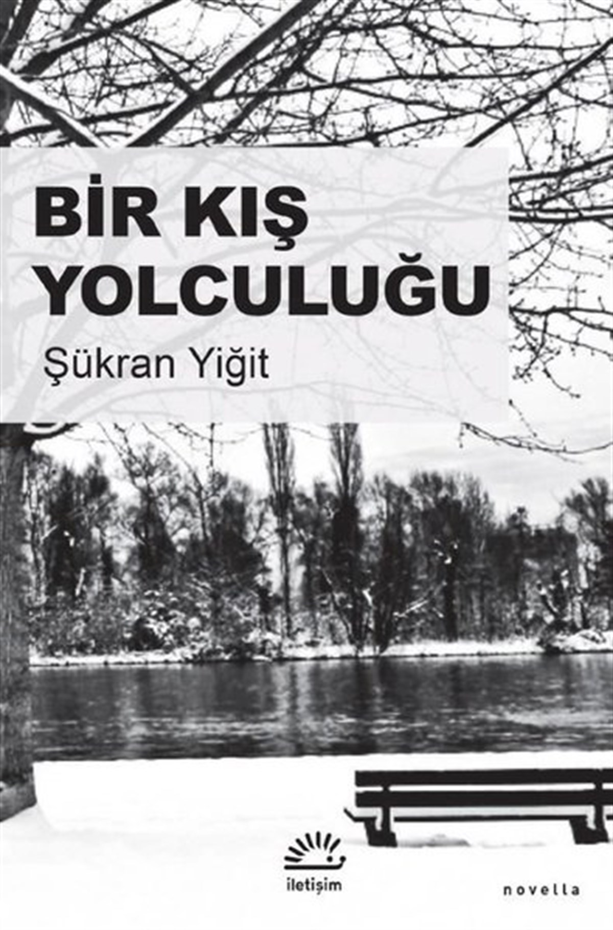 Şükran YiğitTürkiye RomanBir Kış Yolculuğu