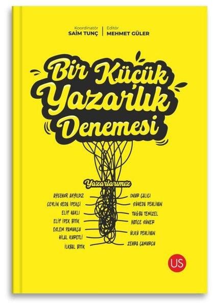 KolektifÇocuk Gençlik RomanlarıBir Küçük Yazarlık Denemesi