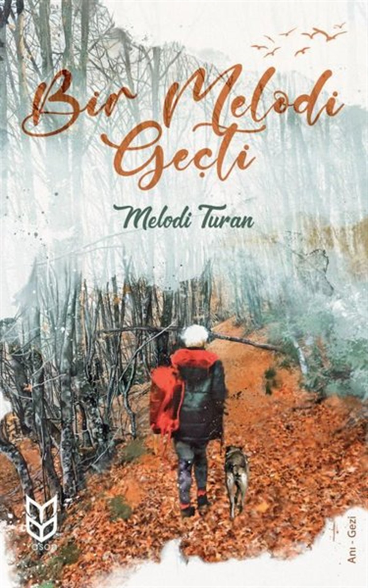 Melodi TuranGezi Rehberi KitaplarıBir Melodi Geçti
