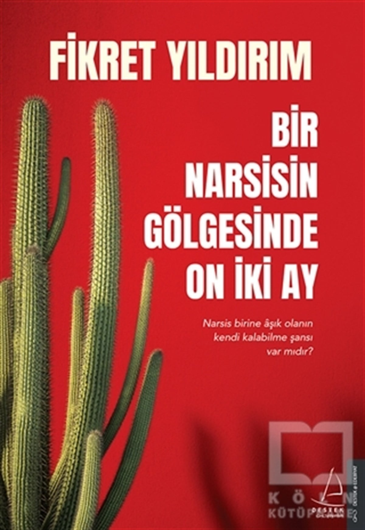 Fikret YıldırımTürkçe RomanlarBir Narsisin Gölgesinde On İki Ay