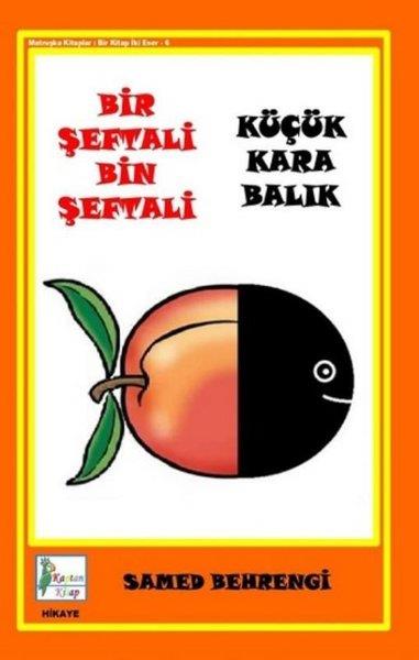 Samed BehrengiÇocuk Gençlik RomanlarıBir Şeftali Bin Şeftali - Küçük Kara Balık