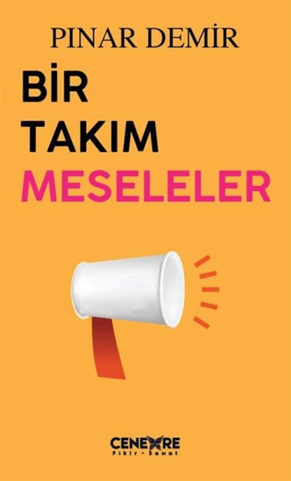 Pınar DemirDeneme KitaplarıBir Takım Meseleler