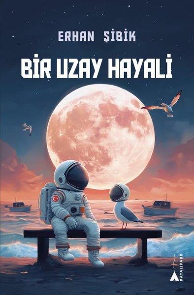 Erhan ŞibikÇocuk Gençlik RomanlarıBir Uzay Hayali