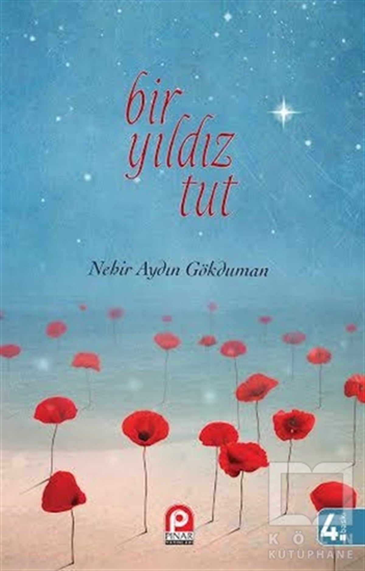 Nehir Aydın GökdumanÖyküBir Yıldız Tut