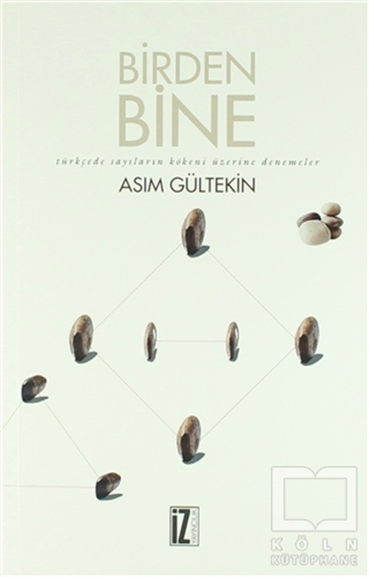 Asım GültekinDenemeBirden Bine